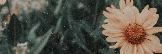 Ro_perez02's profile banner image
