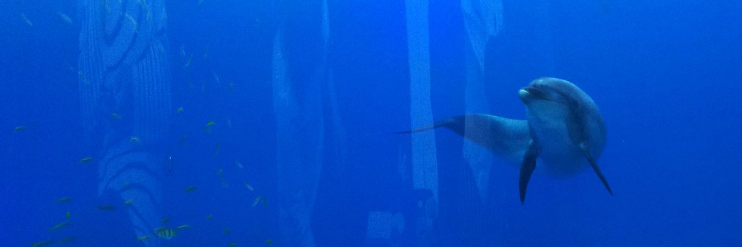 hiroko5124's profile banner image