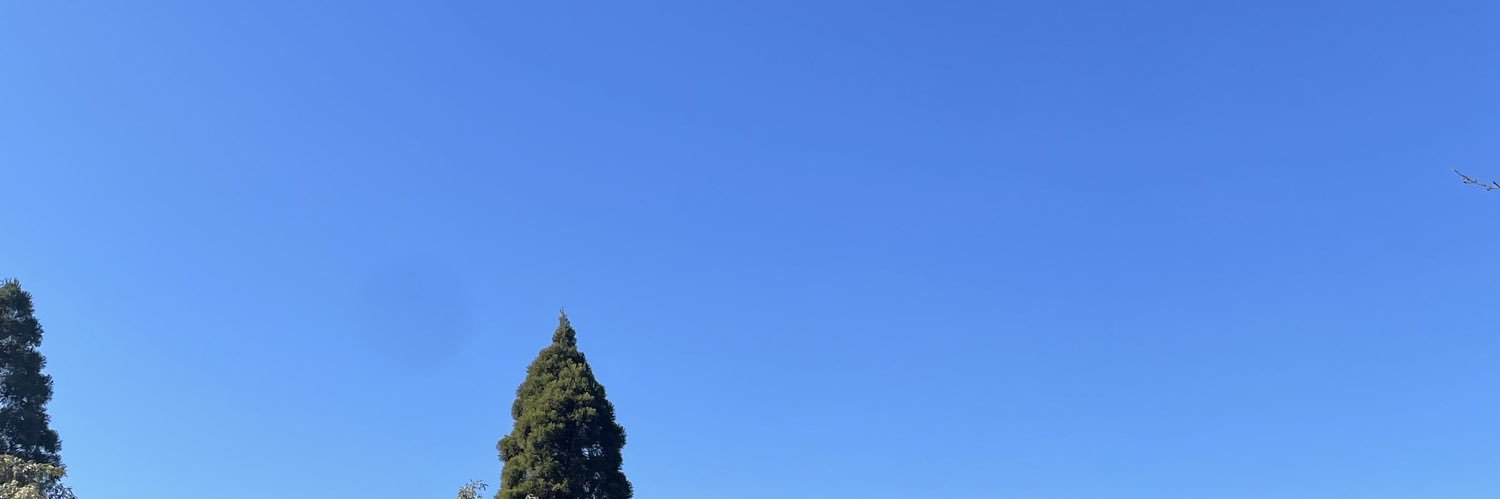 oosakasalsa's profile banner image