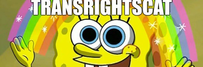 Mizo / Trans Rights Feline🏳️‍⚧️ banner