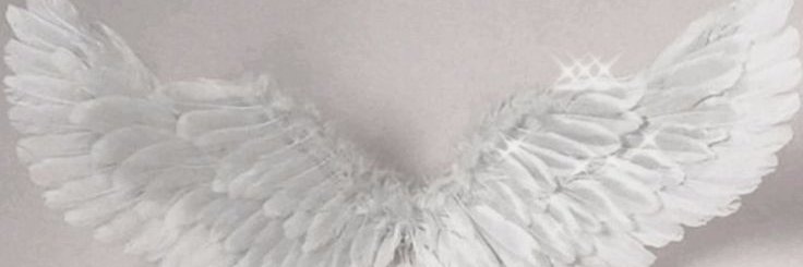 ripst4rs's profile banner image