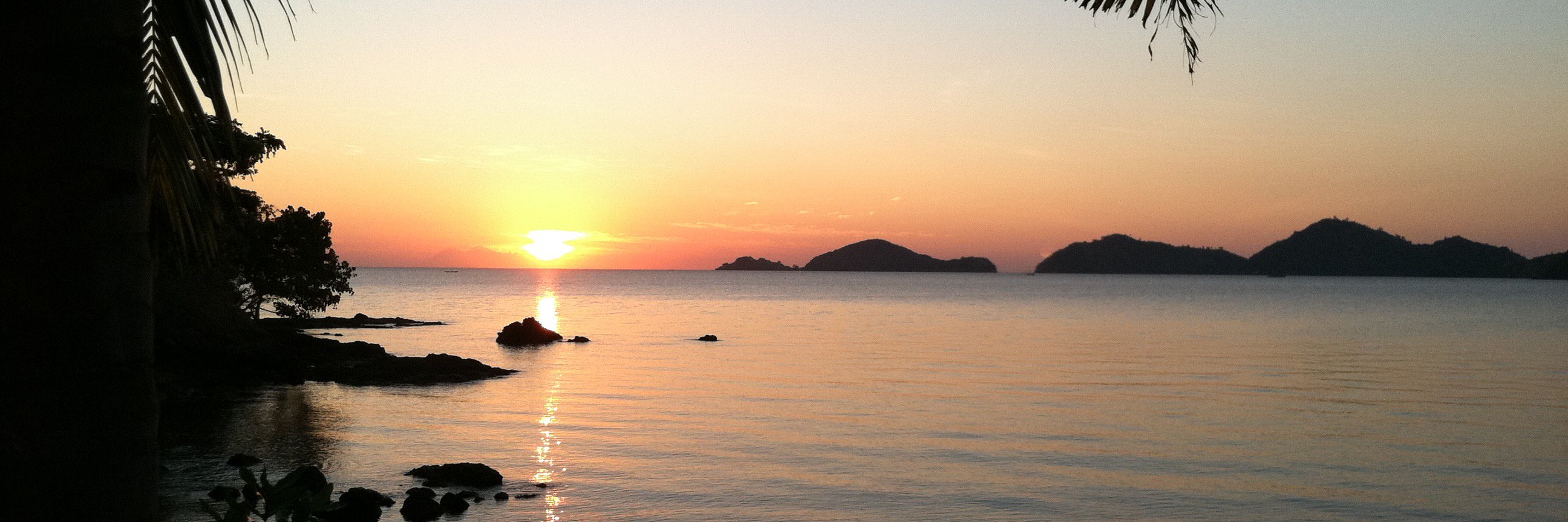 Ray O Johnson banner