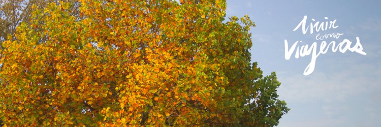 MyPerfectCity's profile banner image