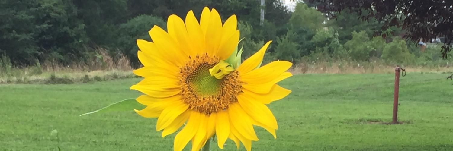 jguierclass's profile banner image