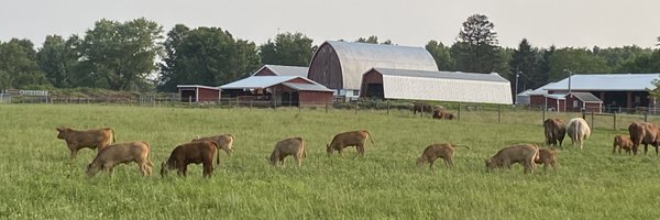 Angela_Thomas91 Profile Banner