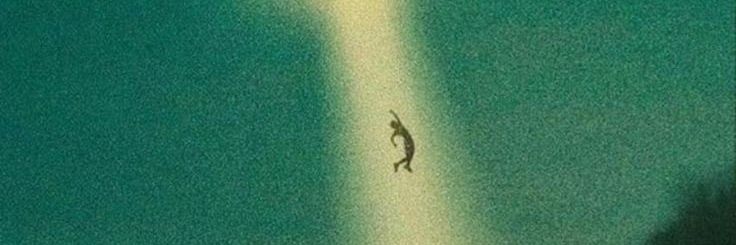 SigalaOso's profile banner image