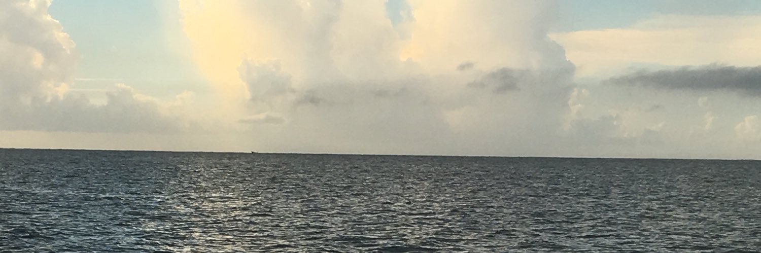 12Paladins's profile banner image