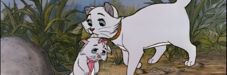 whenuseemeagain's profile banner image