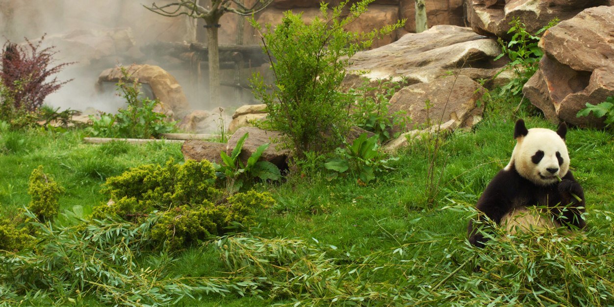 @mildis.bsky.social banner