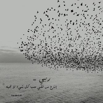 ajhlk454's profile banner image
