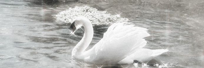 kzerwie's profile banner image