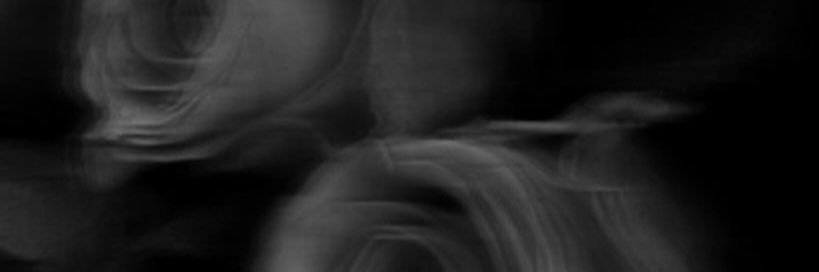 Gisselle ˚.🎀༘⋆ banner
