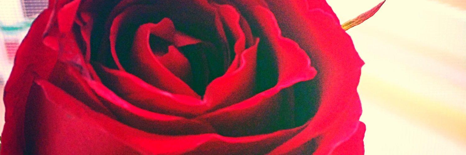 Evil_rosalba's profile banner image