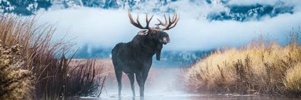 FrozenDenim Profile Banner