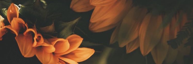 jaythurnn's profile banner image