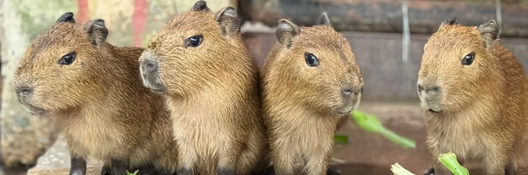 จิ๋มคือชื่อแม่ 🟪🟦🟩🟨🟧🟥 banner