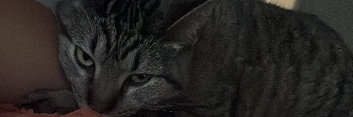A 🤭 banner