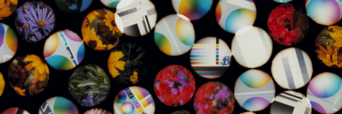 Cleber Facchi banner