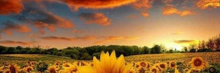 Adrybel's profile banner image