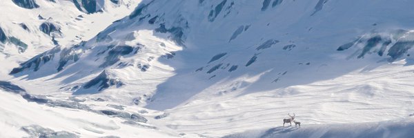 Jc0x01 Profile Banner