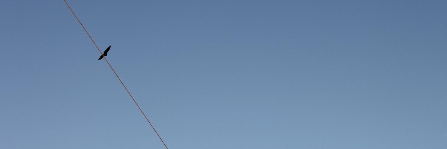 Samyr Paz banner