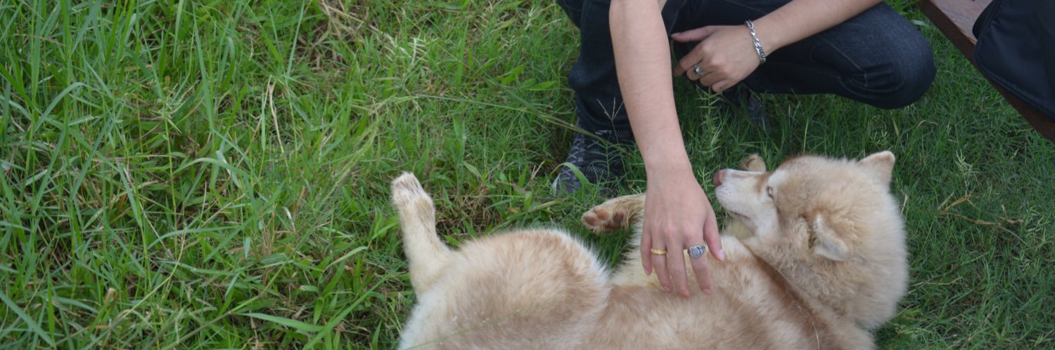 aumaumaum20's profile banner image
