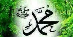 celik_latif's profile banner image
