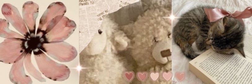 ava🪽 banner