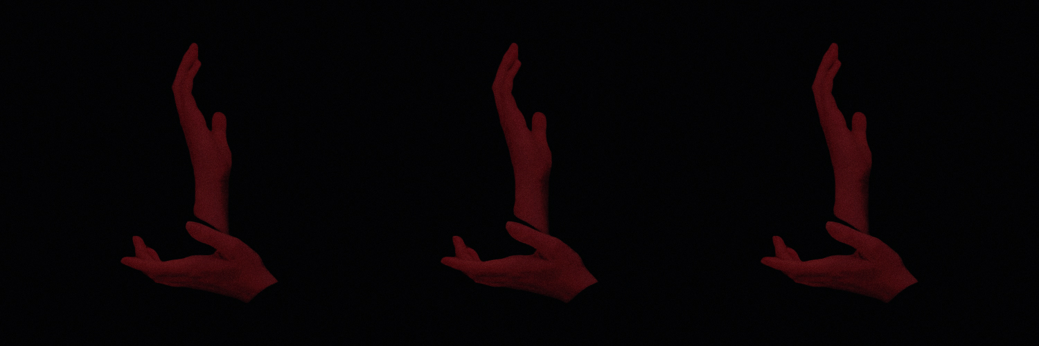 дочь вульфстаров ⋆.˚ ☾ .⭒˚ banner