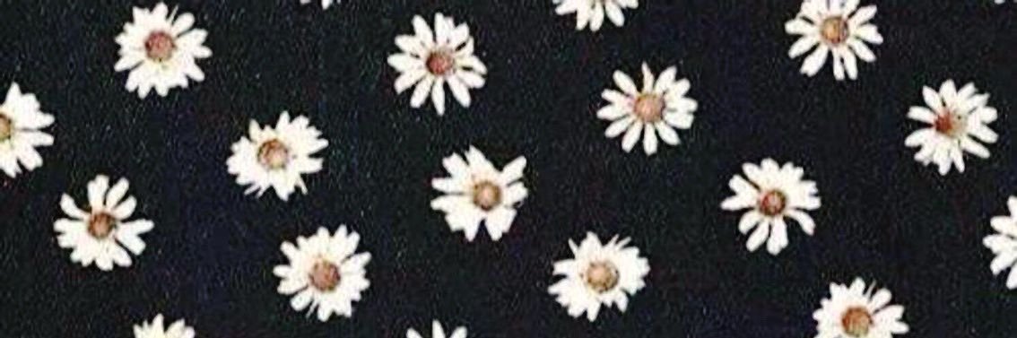 volankademort's profile banner image