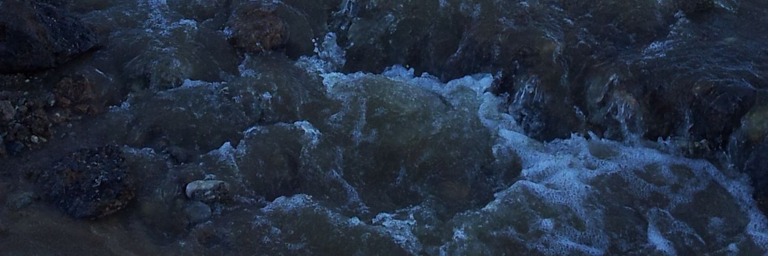 galipulus's profile banner image
