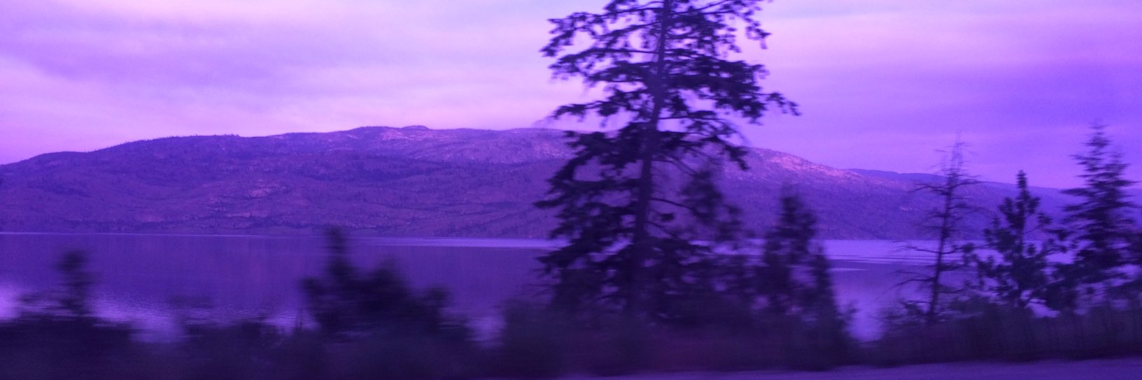 princeofmints's profile banner image