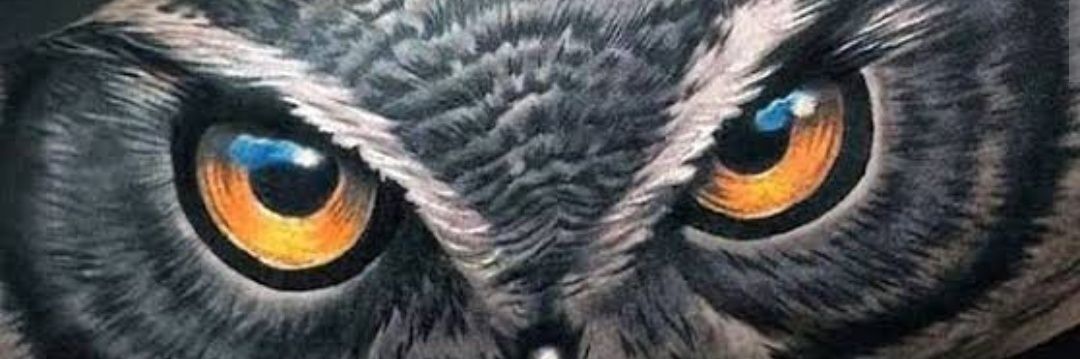 euincomodo00's profile banner image