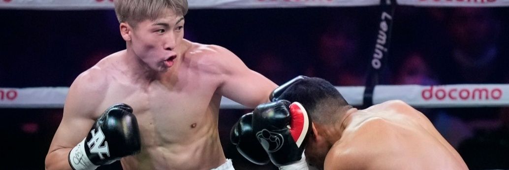 Dan The Boxing Fan banner