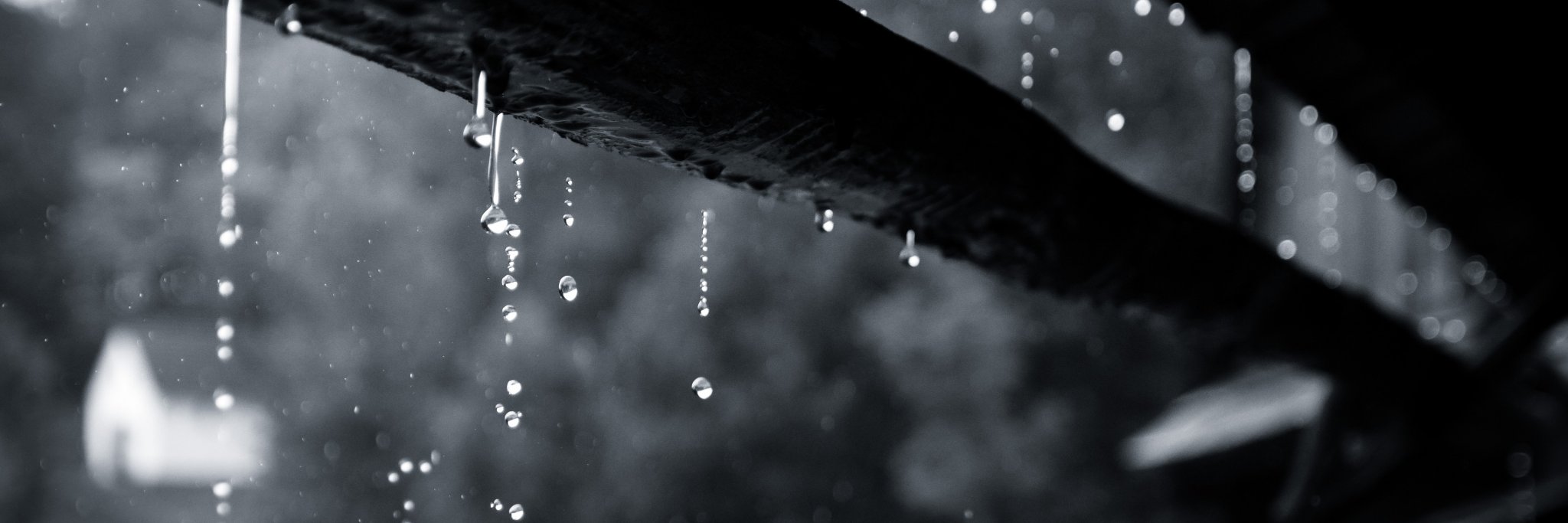 Marek Lutonský banner