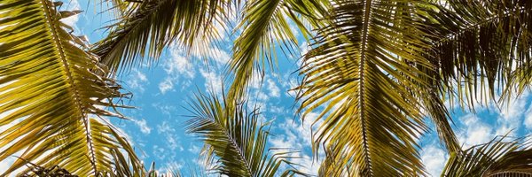 nicqolo Profile Banner