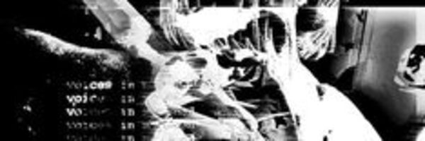 ️Adam Robel_Extra banner