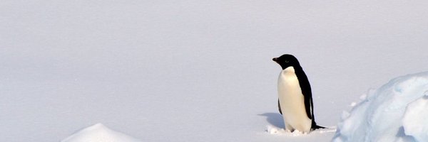 RanghaeA Profile Banner