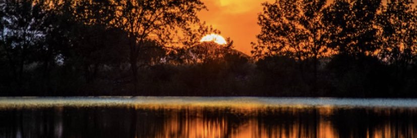 leo_f89's profile banner image