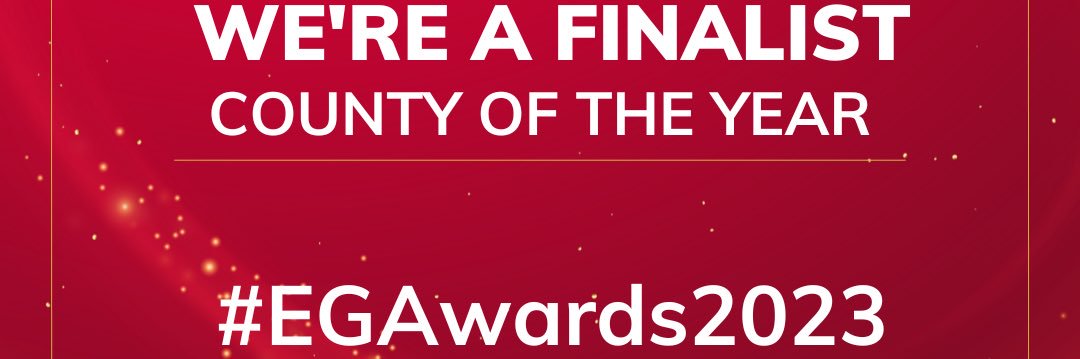 Hampshire Ladies Golf banner