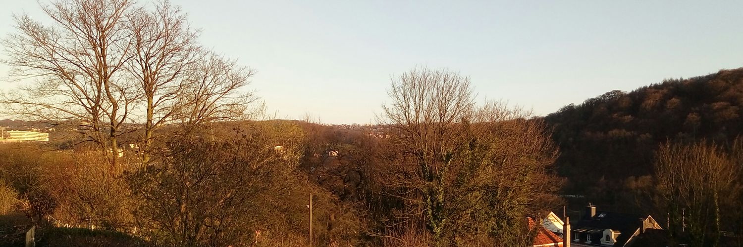 SebastianSteirl's profile banner image
