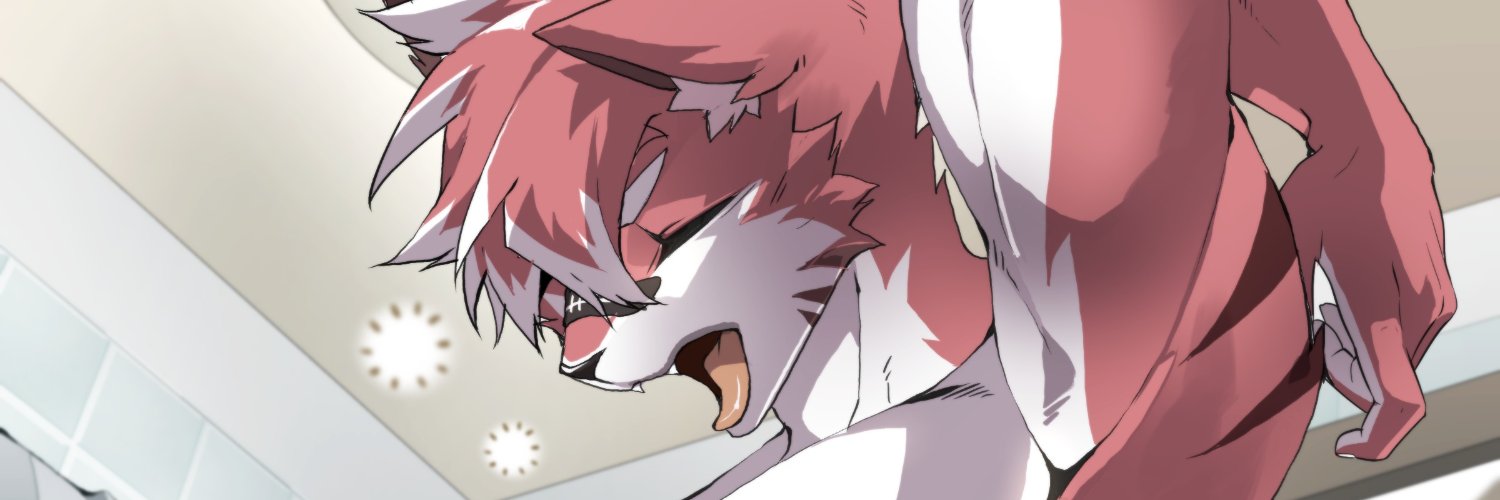 SteenkyAD's profile banner image