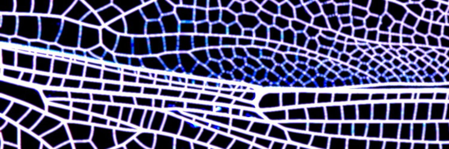 iruka's banner