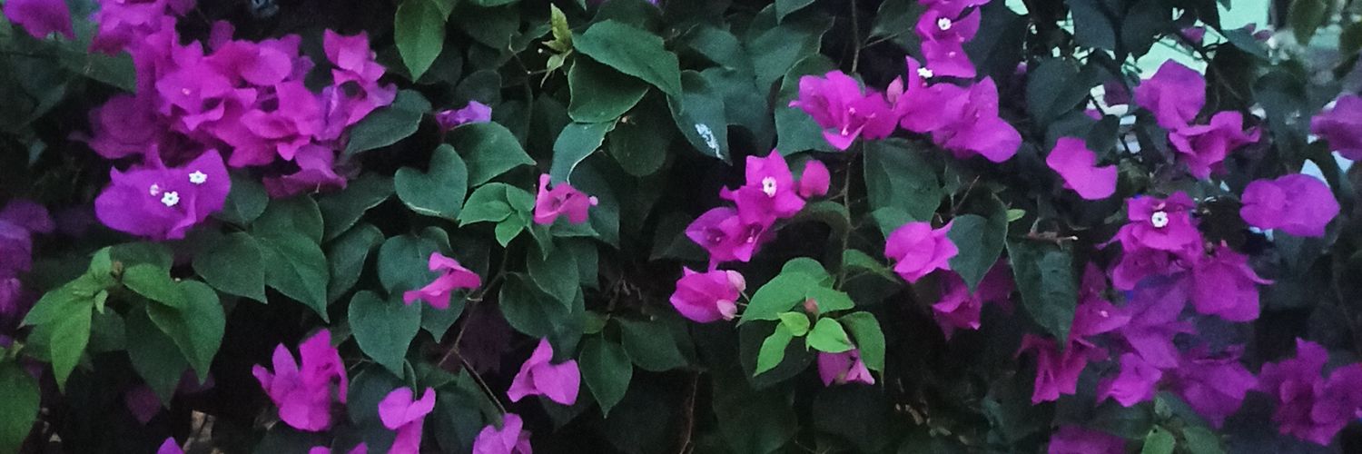 natiucha's profile banner image