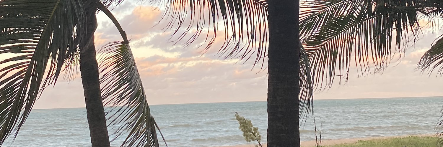 dudapiinto's profile banner image