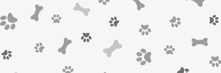 gatubas's profile banner image