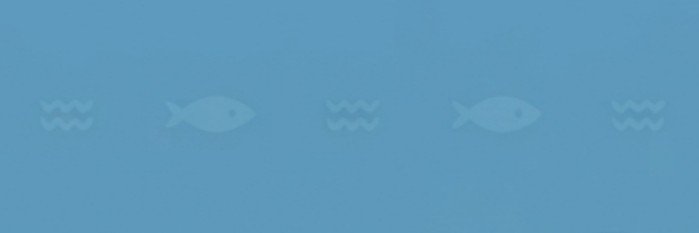 frrel16's profile banner image