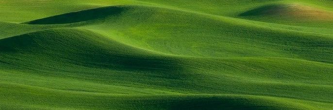 nofacelia's profile banner image