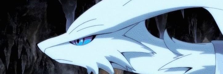nintaishin's profile banner image