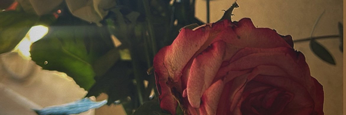 en9pd's profile banner image